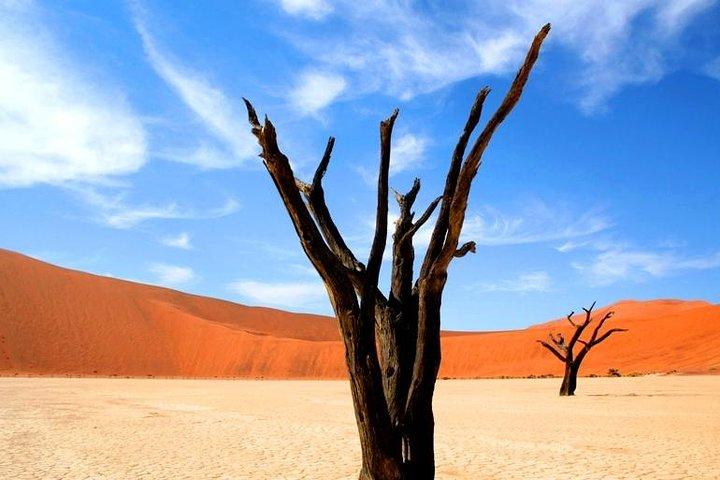 10-Day Namibia Highlights Guided Tour from Windhoek