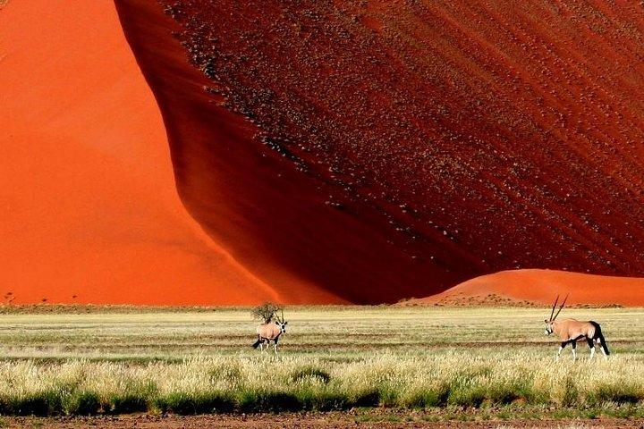 10-Day Namibia Highlights Guided Tour from Windhoek