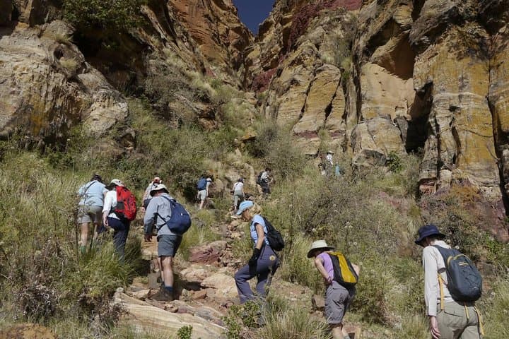 Mt Kenya Day Trip Hike From Nairobi (Cost Based on Minimum 2 persons)