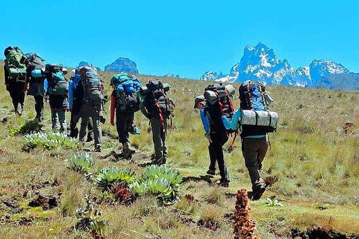 Mt Kenya Day Trip Hike From Nairobi (Cost Based on Minimum 2 persons)
