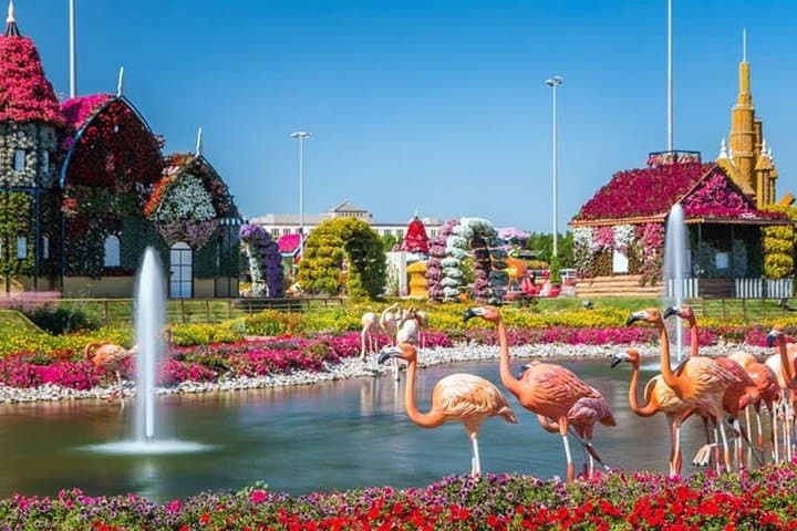 Miracle Garden Dubai Including Pickup & Drop Off