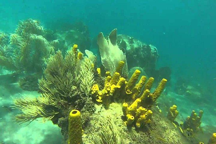 St Lucia Snorkeling Tour: Anse Chastanet Beach Day