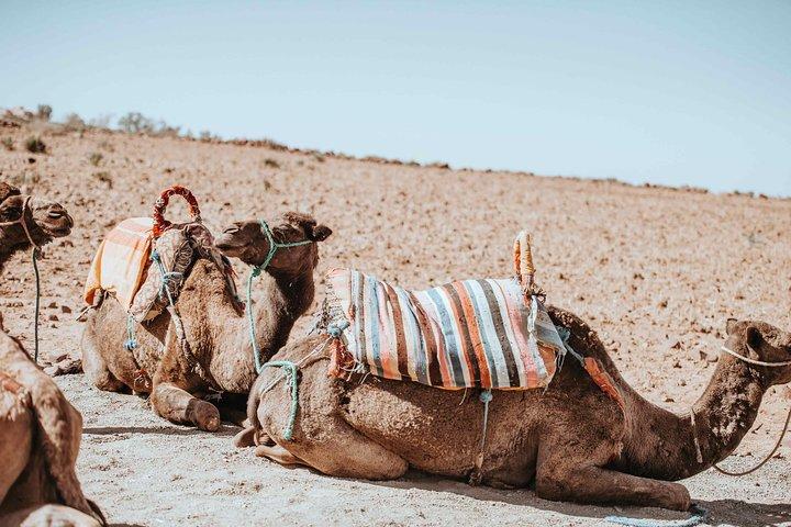 Marrakech 4 Day Desert Tour Via Ouerzazat And Merzouga