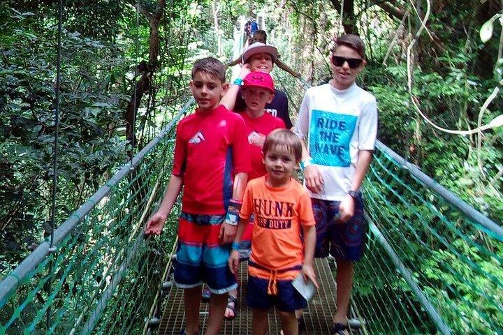 Roatan Shore Excursion: Hanging Bridges Eco Tour and Beach Break