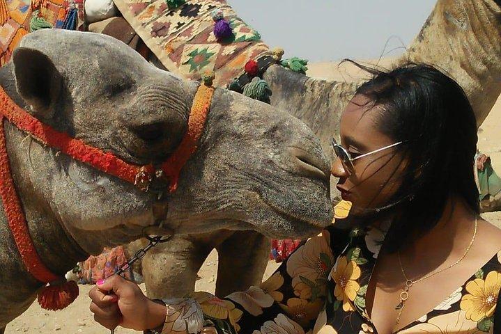 Private Day Tour to Giza Sakkara Dahshur with Dinner Cruise