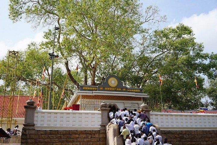 Half day tour - in Sacred city of Anuradhapura Or sacred city of Mihintale.