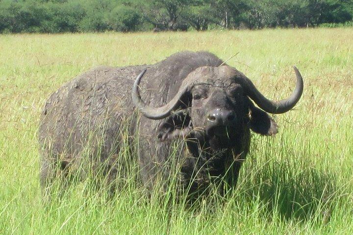 7 - Days Fascinating Tanzania Safari