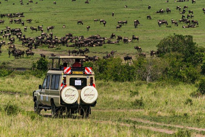 7 Days Amboseli National park and Maasai Mara Safari