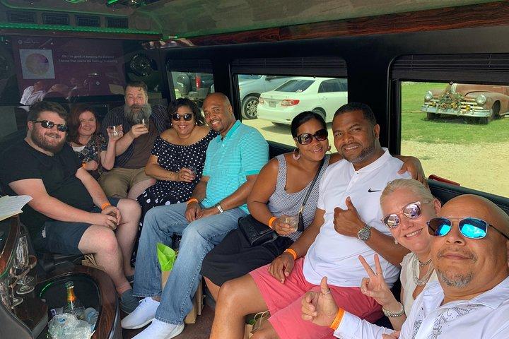 Texas Hill Country Group Wine Tour by Limousine