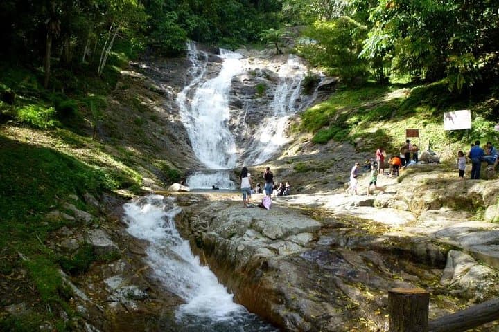 Full-day Cameron Highlands Day Trip from Kuala Lumpur
