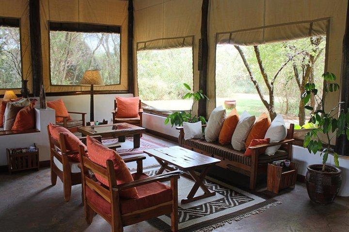 5-Days Refreshing Safari at Masai mara, Lake Nakuru and Naivasha.