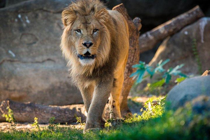 7-Day Kenya Tanzania Wonder Safari