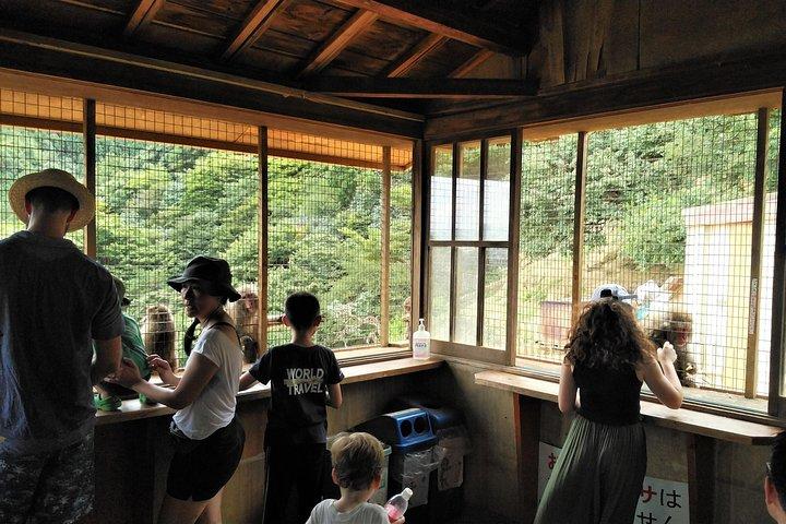 Kyoto Arashiyama & Golden Pavilion One-Day Walking Tour