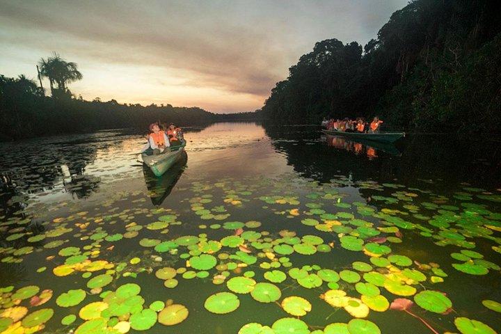 4 Day Tambopata & Puerto Maldonado Tour – Explore the Amazon