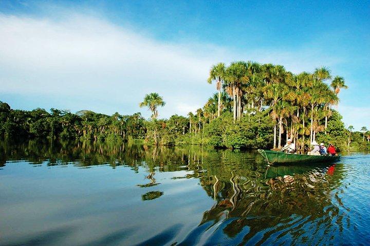 4 Day Tambopata & Puerto Maldonado Tour – Explore the Amazon