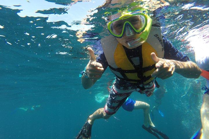 Private Snorkeling Tour in Cabo San Lucas