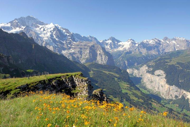 Swiss Alps: Interlaken and Grindelwald Day Trip from Zurich