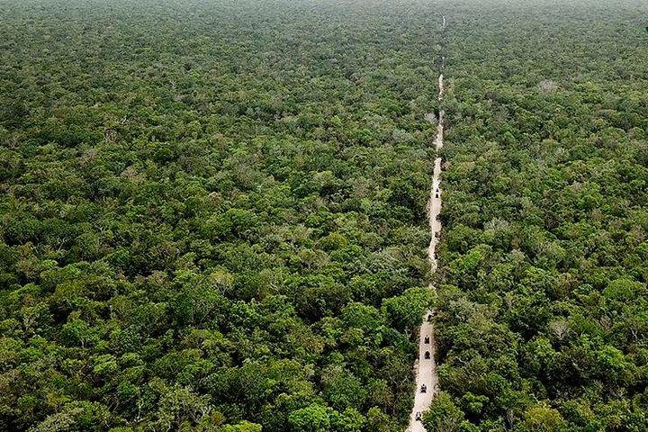 Off Road ATV Tour at the Akumal Monkey Rescued Animals Sanctuary