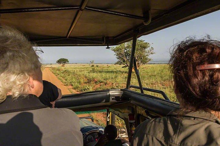 4-Day Safari At Amboseli NP- Tsavo West NP-Tsavo East NP.