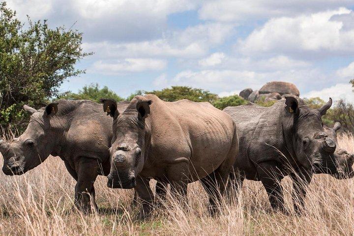 4-Day Safari At Amboseli NP- Tsavo West NP-Tsavo East NP.