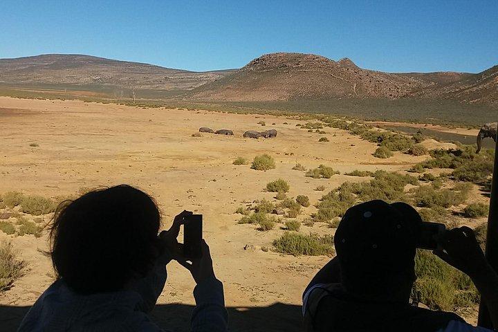 Big 5 Full Day Safari Aquila Lunch plus Breakfast From Cape Town