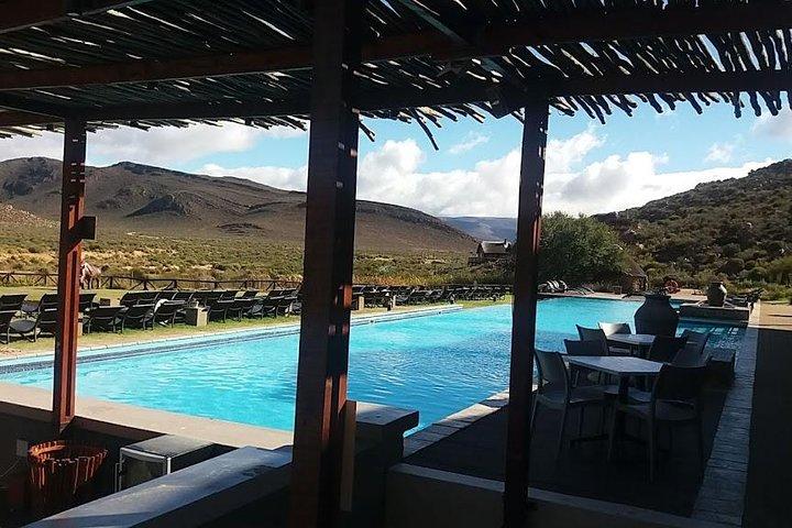 Big 5 Full Day Safari Aquila Lunch plus Breakfast From Cape Town