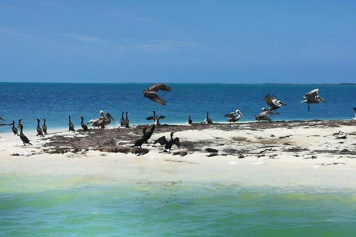 3 Islands Snorkel on boat, Isla Blanca, Contoy, Mujeres