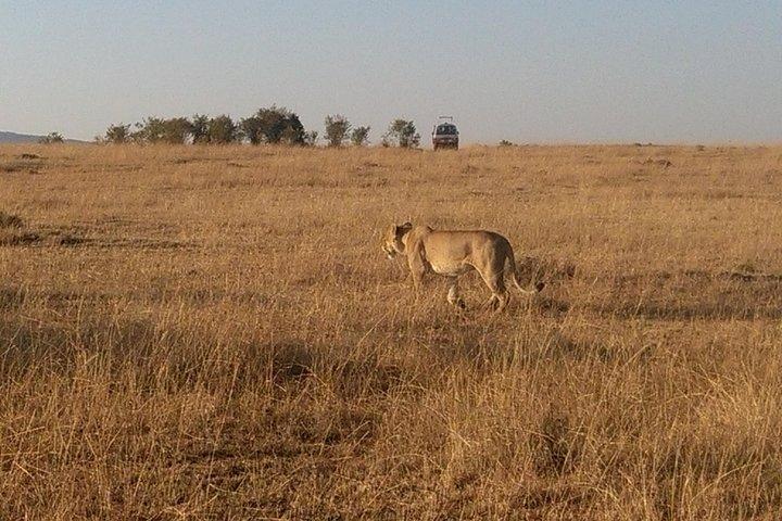4 Days Amboseli Naivasha