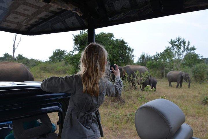 Udawalawe National Park Morning or Afternoon Game Drive