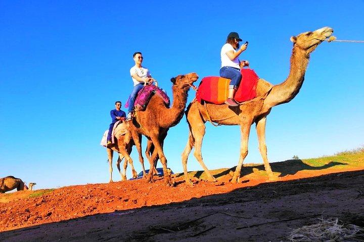 Sunset Camel ride Marrakech