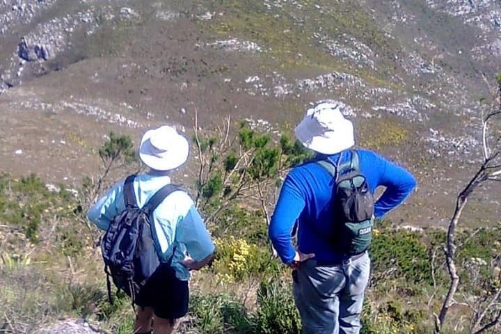 Hiking and Trekking on Table Mountain + Transport