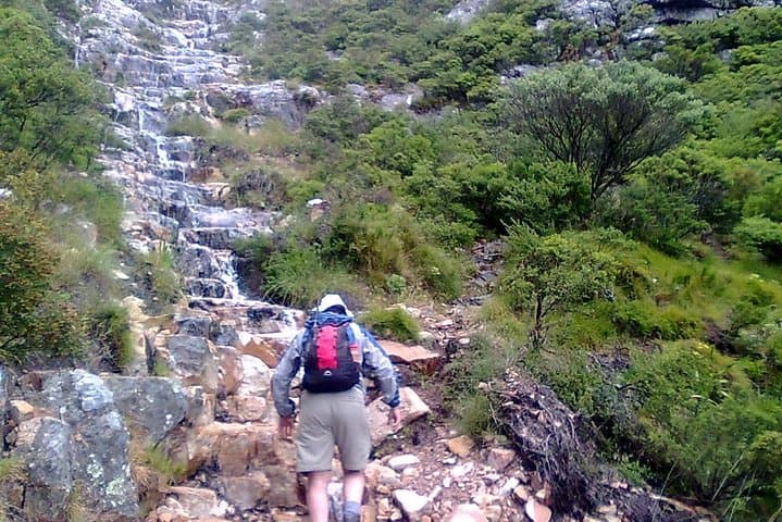 Hiking and Trekking on Table Mountain + Transport