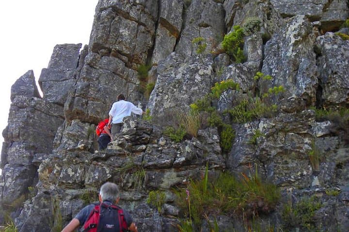 Hiking and Trekking on Table Mountain + Transport