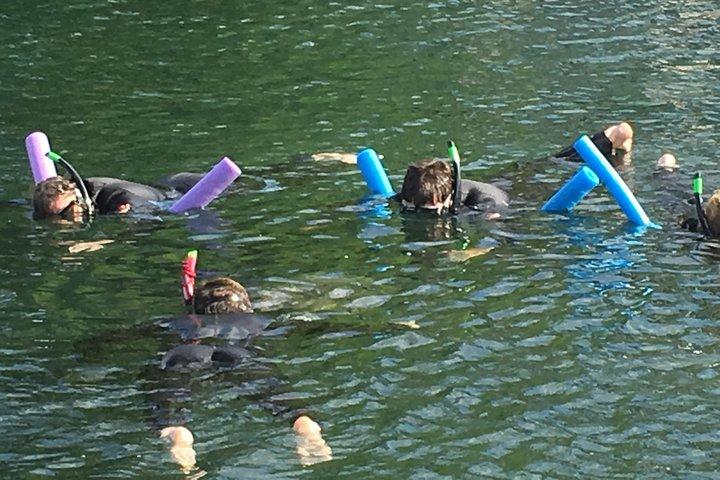 Manatee Snorkeling Adventure Tour with Lunch & Hotel Pickup