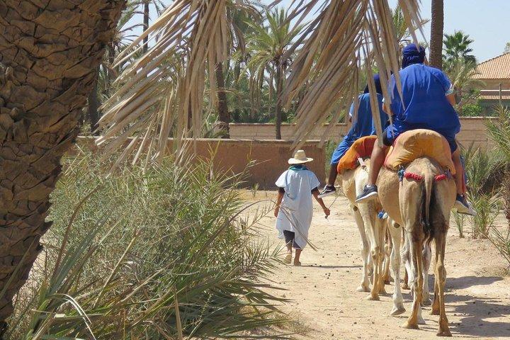Camel Ride & Quad Biking Half Day in Marrakech