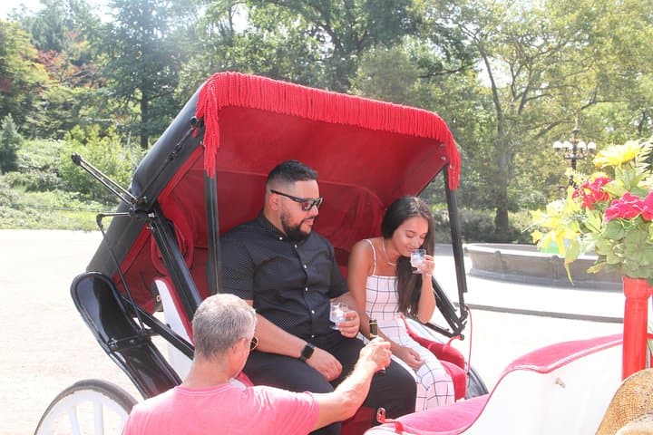 Romantic Proposal Carriage Tour in Central Park