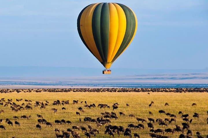 12-Day Kenya-Tanzania Experience Safari
