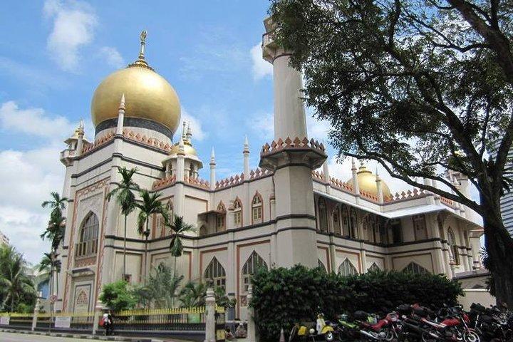 BEST Singapore Private City Tour by an Insider (1/2/3 x full-day)