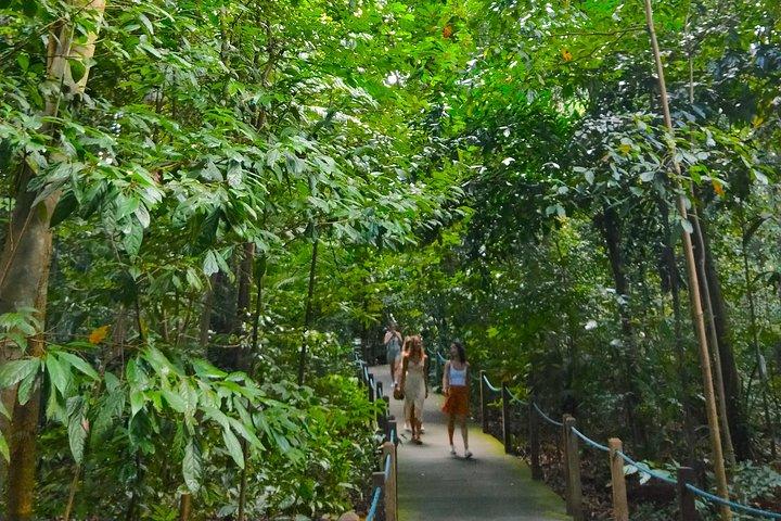 Private Tour Singapore Botanic Garden (UNESCO)