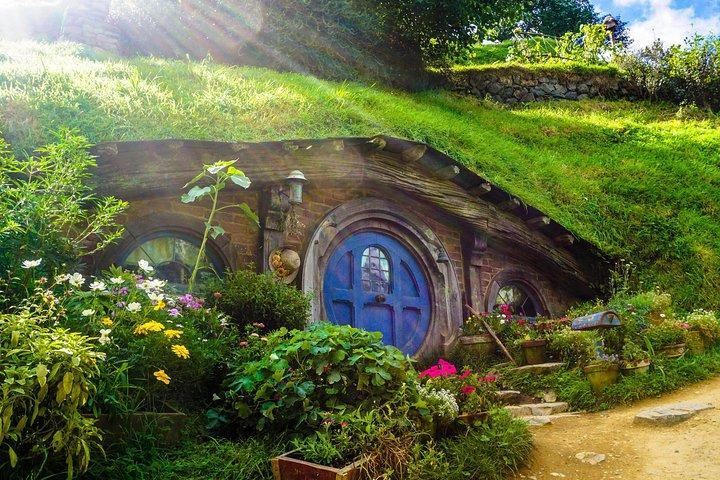 Luxury Small group tour from Auckland to Hobbiton Movie Set