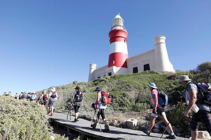 Mother City, Cape Town, Private Tour, The Best Of Cape Agulhas