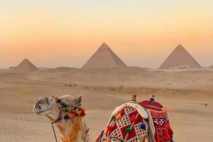 The Pyramids & Sphinx & Sakkara & Memphis & Nile Dinner Cruise in Cairo