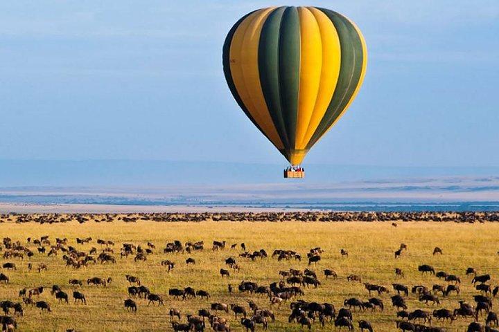4-Day L. Nakuru- Maasai Mara Big 5 Safari