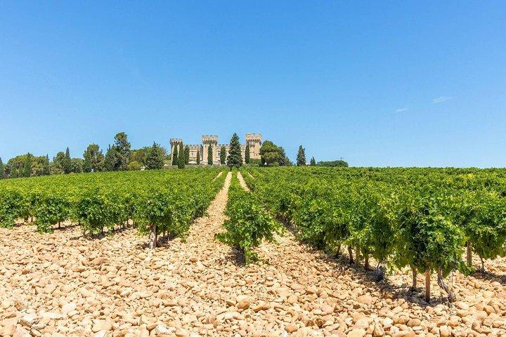In Depth Chateauneuf du Pape