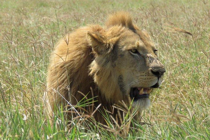 3 days Tanzania Camping Safari