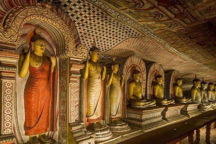 Day execution from last kingdom of kandy to rock forest sigiriya