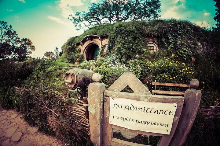 Luxury Small group tour from Auckland to Hobbiton Movie Set