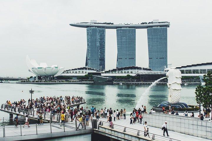 Discover Tiong Bahru Singapore - Private & Custom Walking Tour