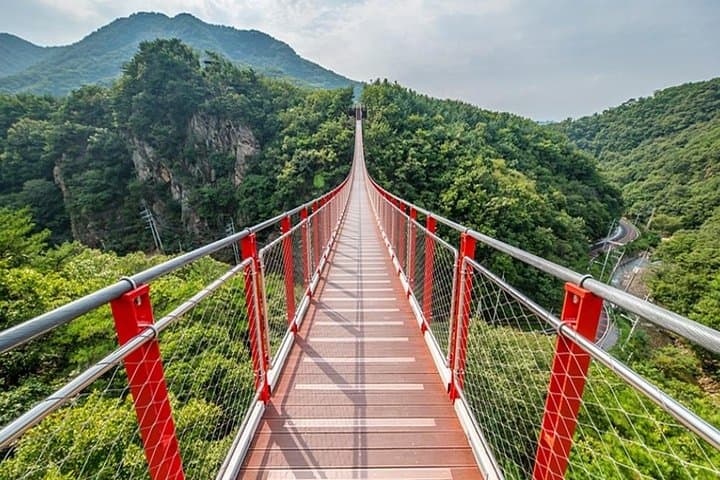 DMZ Insider Tour: Defector Q&A, 3rd Tunnel & Bridge Options