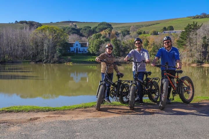 From Cape Town: Full Day Electric Bike Winelands Tour & Lunch
